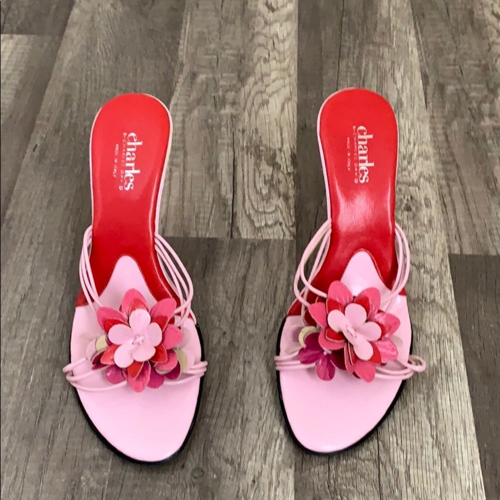 Charles By Charles David Mules - image 2